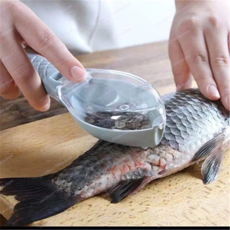 Popular Fish Scale Scraping Ar - Kitchen Gadgets Popular บทวิจารณ์และราคา