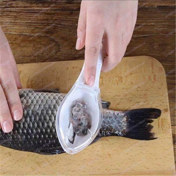 Popular Fish Scale Scraping Ar - Kitchen Gadgets Popular บทวิจารณ์และราคา